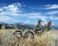 /album/wallpaper/campo-jpg/